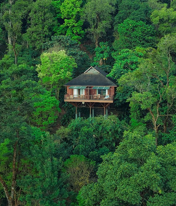 Coorg