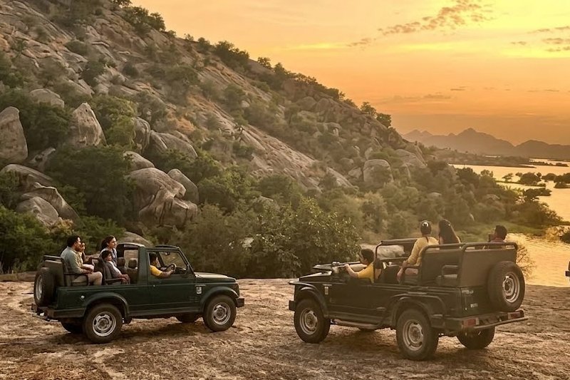 Rajasthan Heritage & Leopard Safari Jaipur Udaipur Jawai & Jodhpur