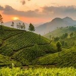 South India Luxury Escape Chennai to Kochi via Madurai & Munnar thumbnail