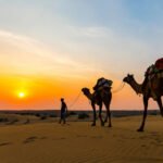 Grand Rajasthan Heritage & Wildlife Discovery thumbnail