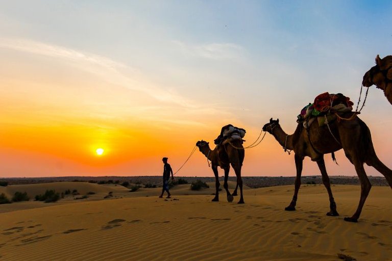Grand Rajasthan Heritage & Wildlife Discovery